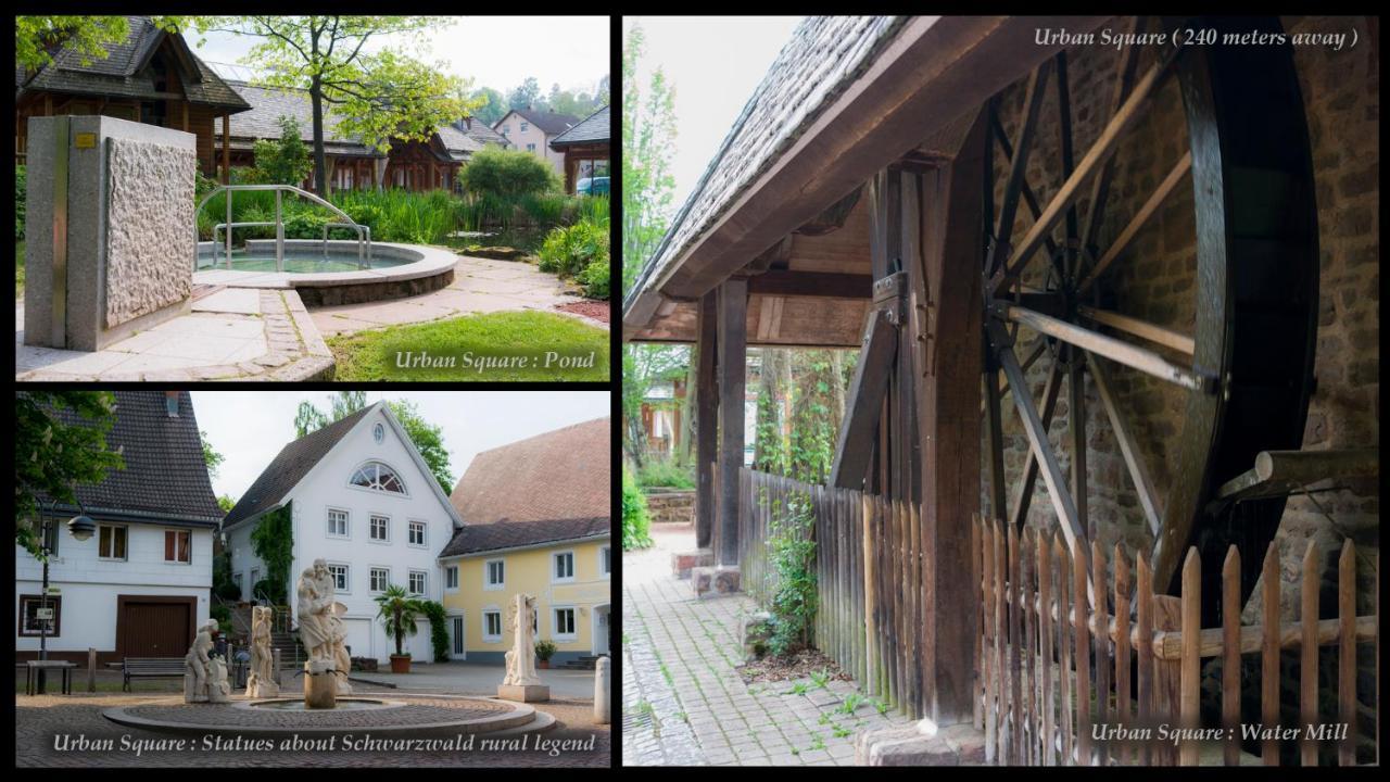 Entire House In Schwarzwald With Mountain View, Private Sauna, Gym, Garden And Terraces Unterkirnach Kültér fotó