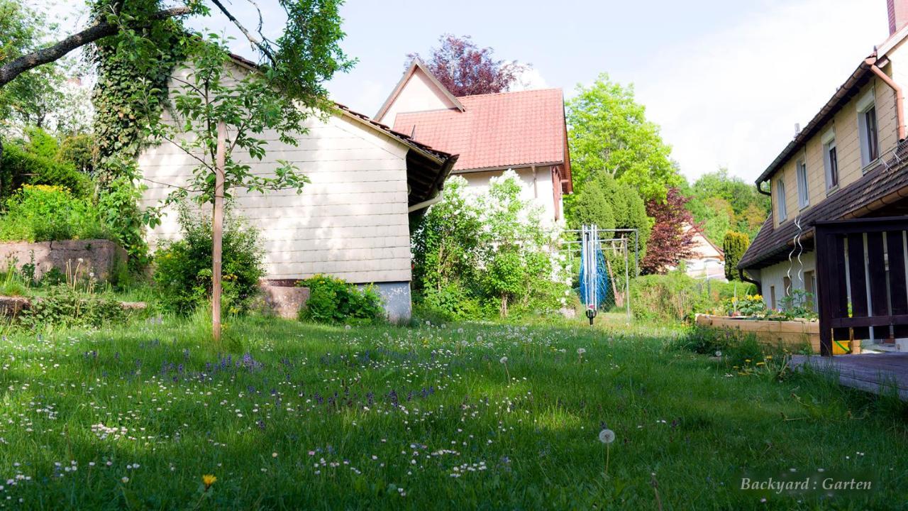 Entire House In Schwarzwald With Mountain View, Private Sauna, Gym, Garden And Terraces Unterkirnach Kültér fotó