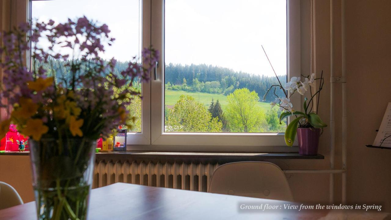 Entire House In Schwarzwald With Mountain View, Private Sauna, Gym, Garden And Terraces Unterkirnach Kültér fotó